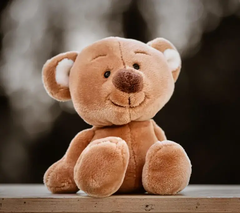teddy-bear-for-play-therapy